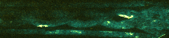 Fig. 12. Distribution of silver (green) and gold (yellow).png Fig. 12. Distribution of silver (green) and gold (yellow).png