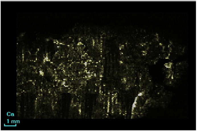 ca3_3.png