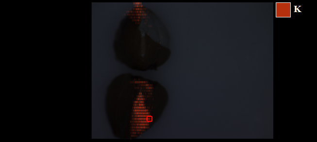 30.png