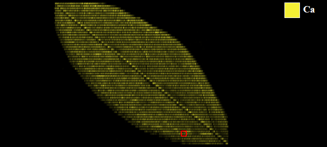 25.png