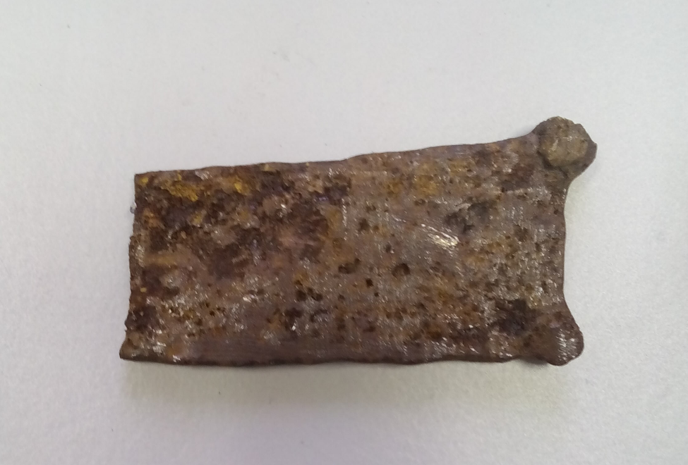Fig. 1. Photo of a link of a nomad belt.png Fig. 1. Photo of a link of a nomad belt.png