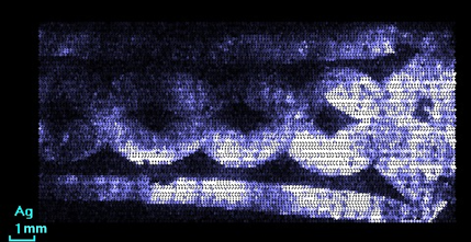 Fig. 4. Distribution of silver.png Fig. 4. Distribution of silver.png