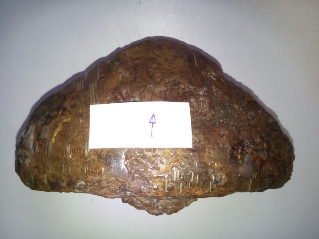 Figure 1. Photo of the sample1.png Figure 1. Photo of the sample1.png
