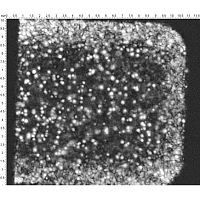 Bulk microstructure and local elastic properties of carbon nanocomposites studied by Impulse Acoustic Microscopy technique