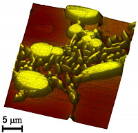 NIOS Nanomechanical Testers: Metal-ceramic and polymer applications